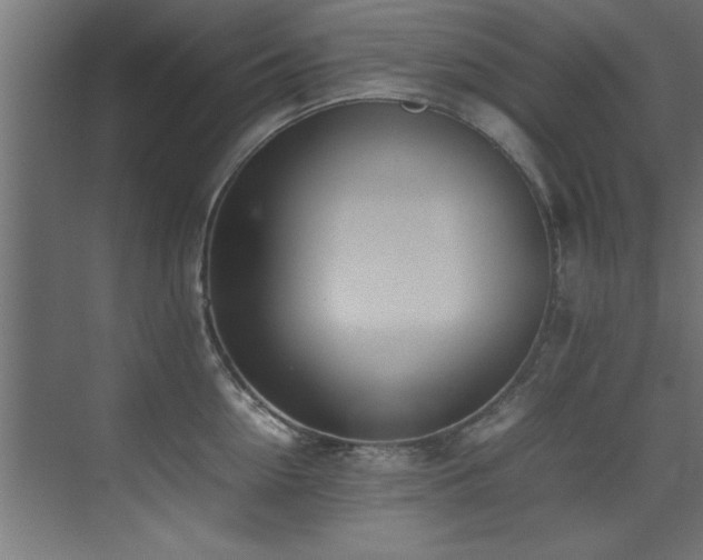 X0000075360954200609081212