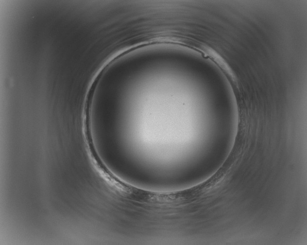 X0000075360955200609081212