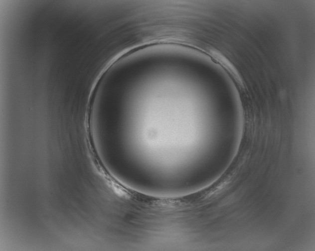 X0000075360956200609081212