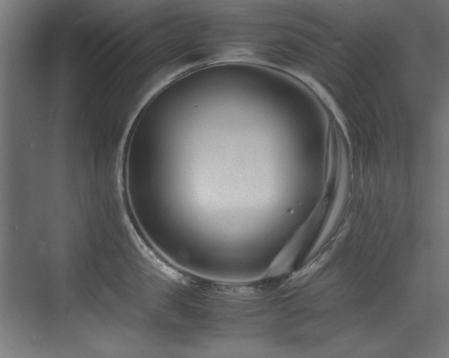 X0000075360957200609081212