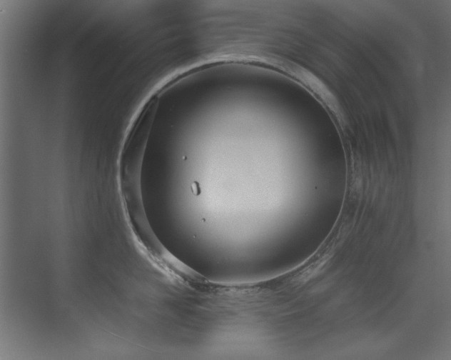 X0000075360958200609081212