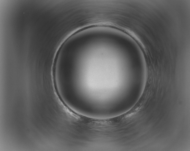 X0000075360959200609081212