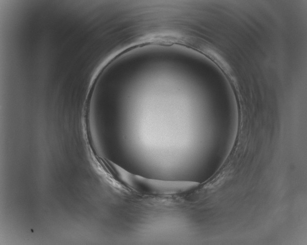 X0000075360960200609081212