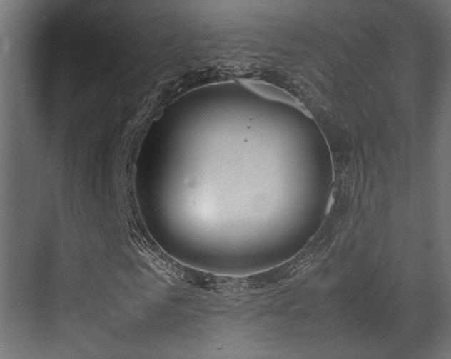 X0000075360961200609081211