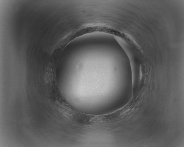 X0000075360967200609081211