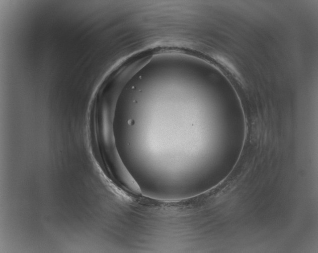 X0000075360976200609081211