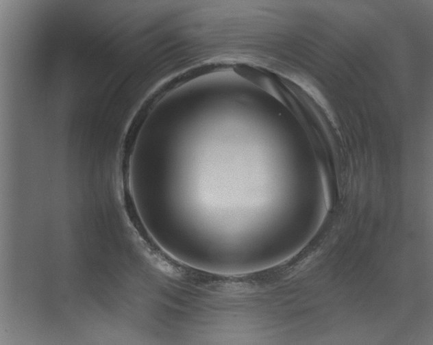 X0000075360984200609081211