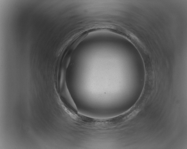 X0000075360985200609081211