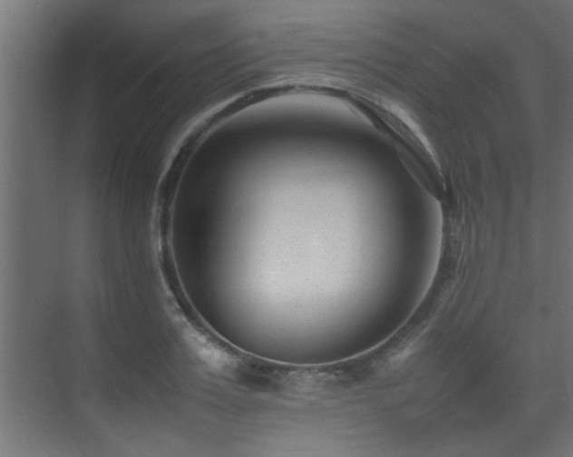 X0000075360987200609081211