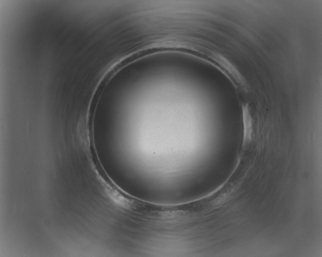 X0000075360988200609081211