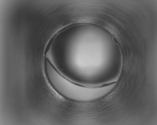 X0000075360992200609081211