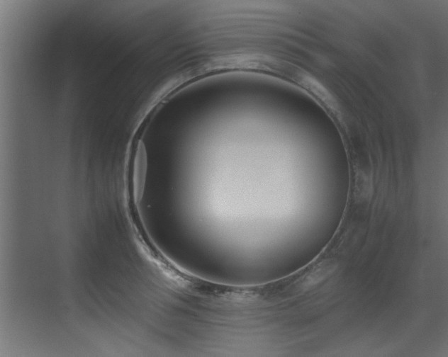 X0000075360994200609081211