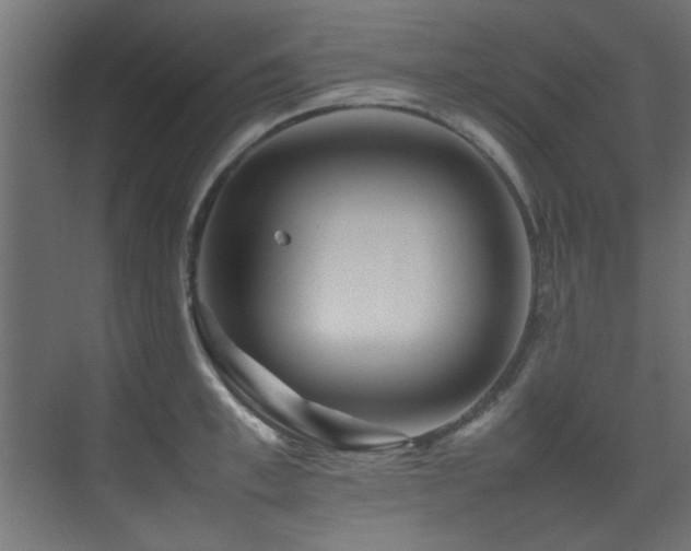 X0000075360997200609081211