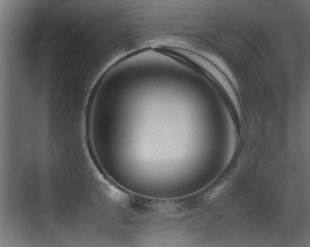 X0000075360999200609081210