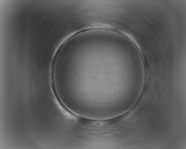 X0000075361003200609081210