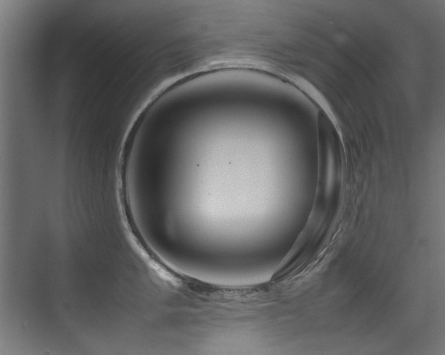 X0000075361005200609081210