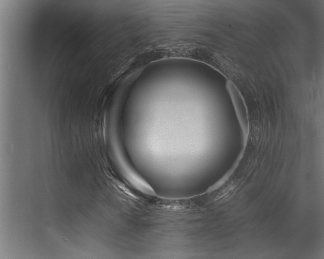 X0000075361010200609081210