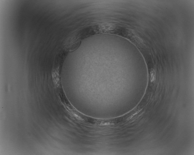X0000075361011200609081210