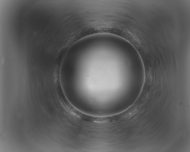 X0000075361012200609081210