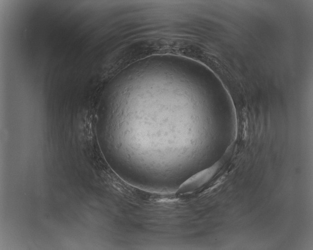 X0000075361013200609081210