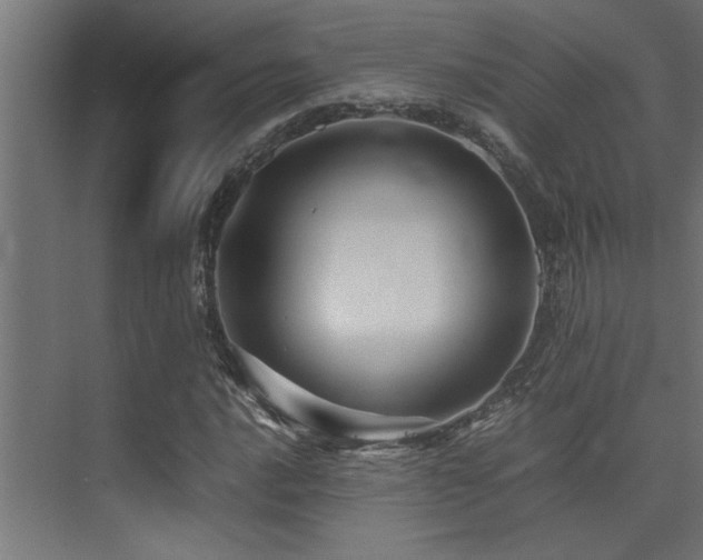 X0000075361016200609081210