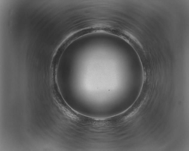 X0000075361021200609081210