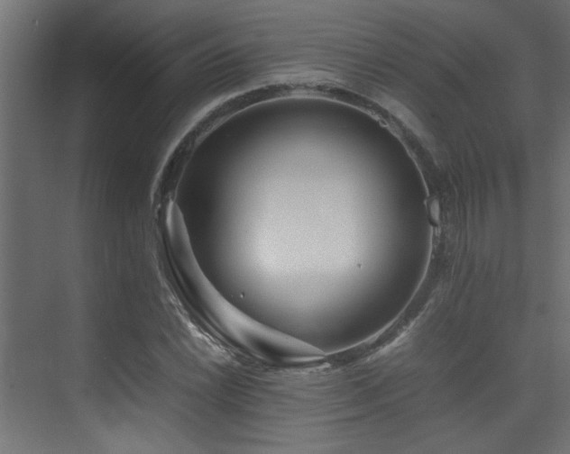 X0000075361022200609081210