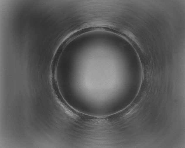 X0000075361024200609081210