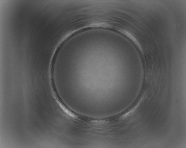 X0000075361037200609081210
