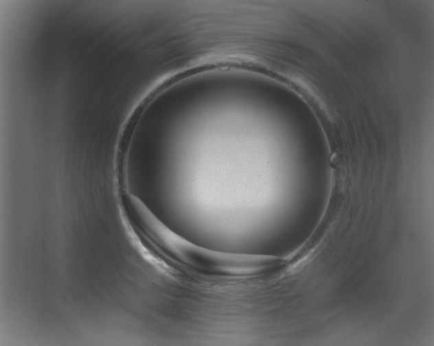 X0000075361038200609081210