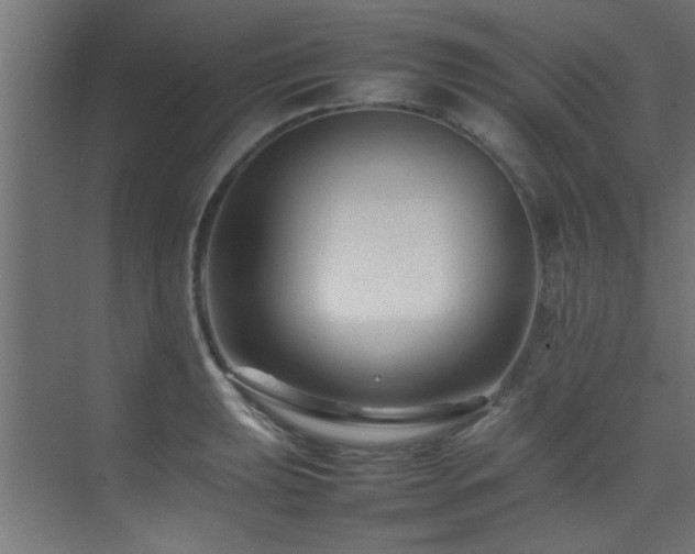 X0000075361039200609081210