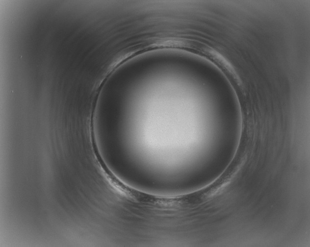 X0000075361041200609081210