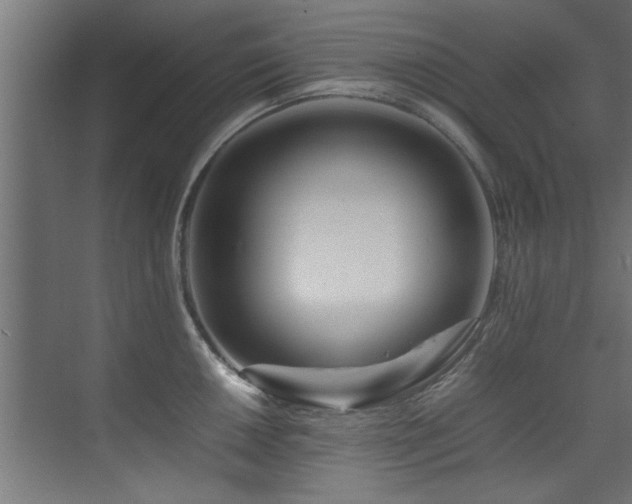 X0000075361050200609081210