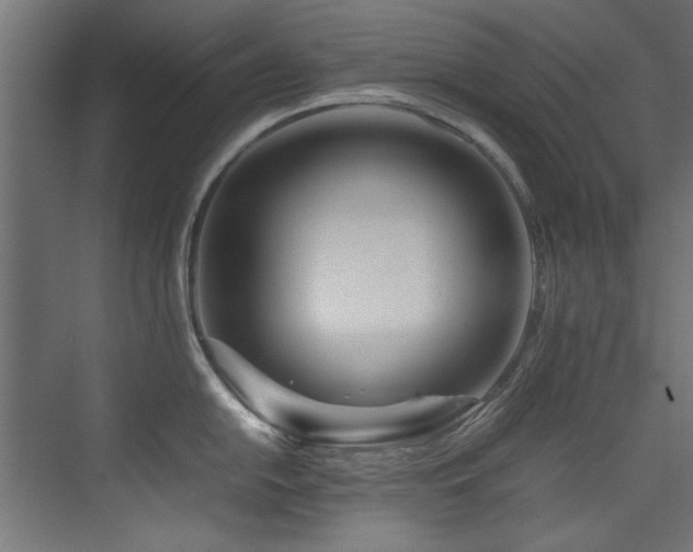 X0000075361054200609081210