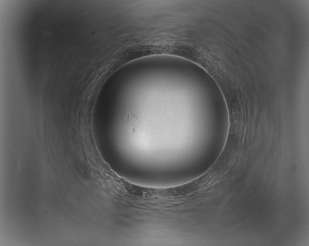 X0000075361057200609081209