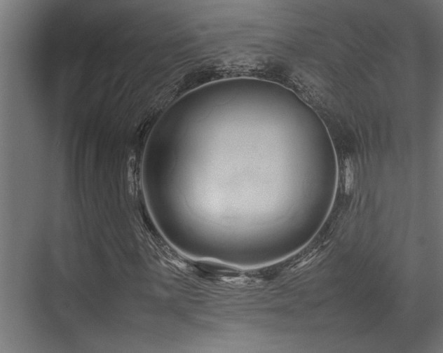 X0000075361059200609081209