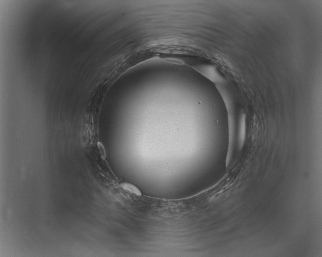 X0000075361062200609081209