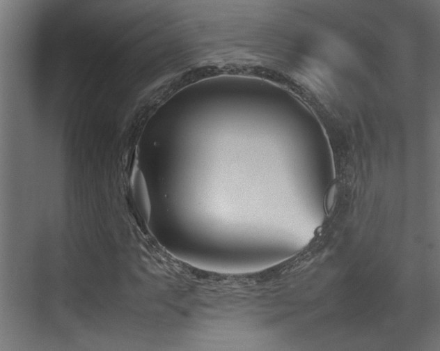 X0000075361063200609081209