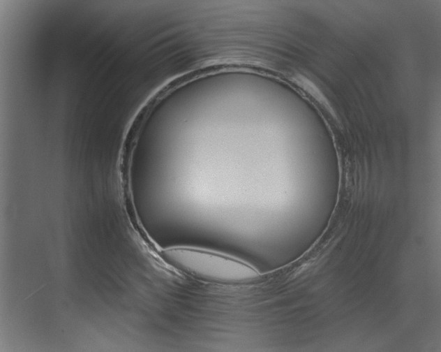 X0000075361068200609081209