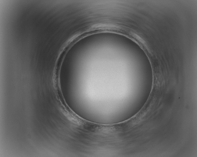X0000075361074200609081209