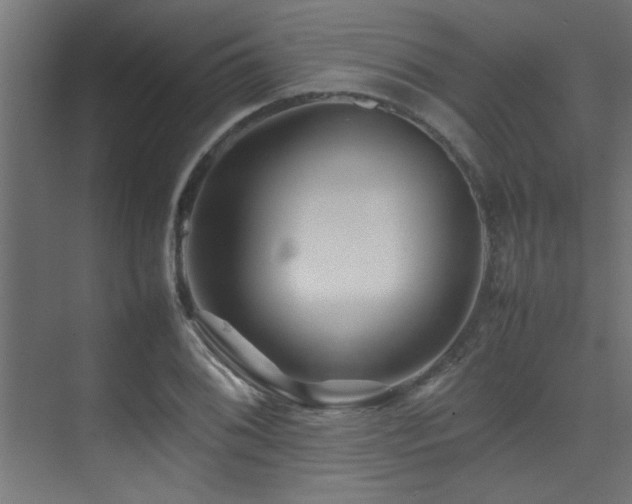 X0000075361076200609081209