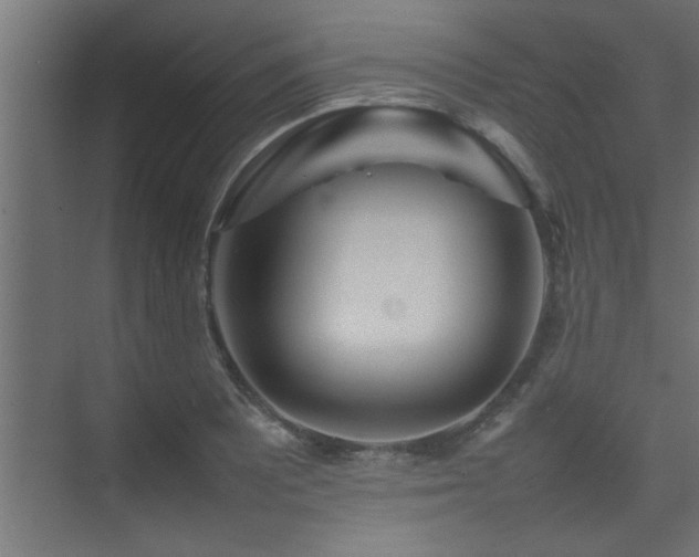 X0000075361081200609081209