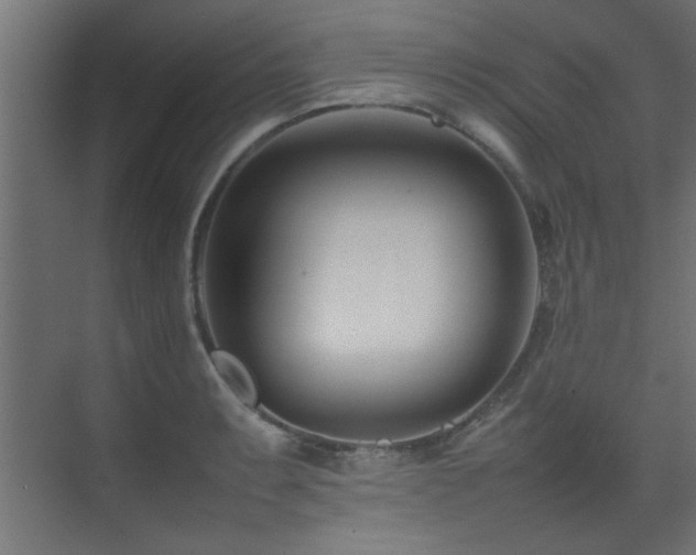 X0000075361087200609081209