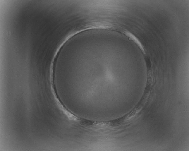X0000075361099200609081209