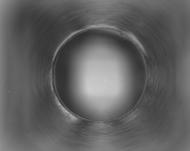 X0000075361100200609081209