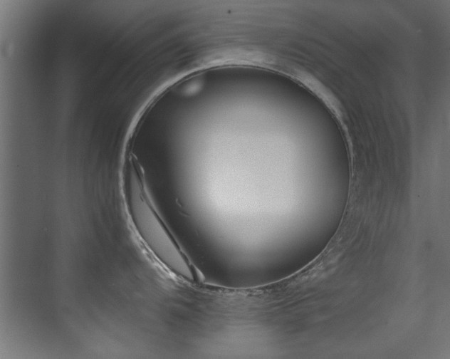 X0000075361104200609081209