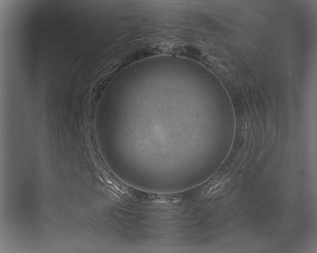 X0000075361105200609081208