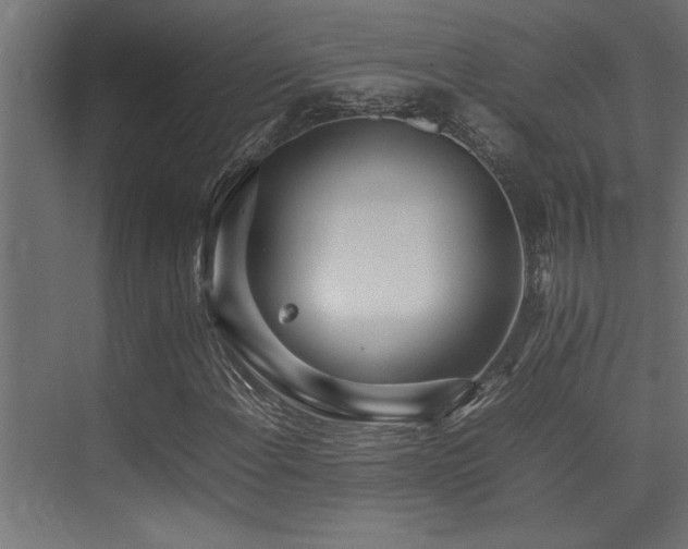 X0000075361108200609081208