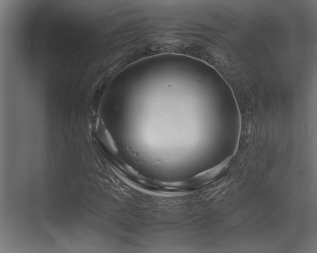 X0000075361109200609081208