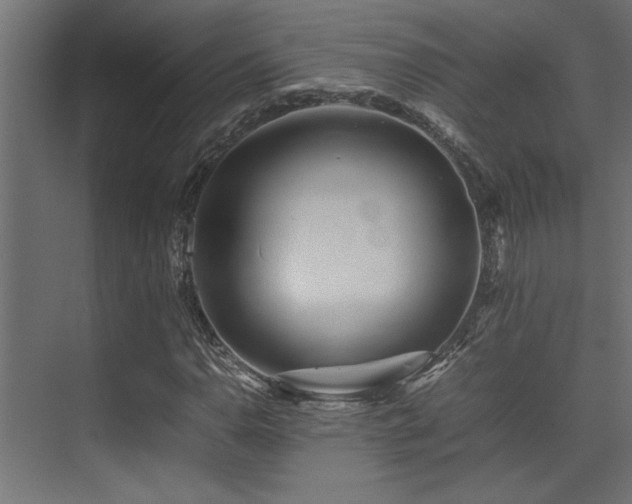 X0000075361110200609081208